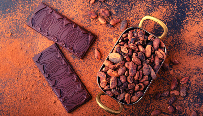 The Complete Buyer’s Guide to Dark Chocolate